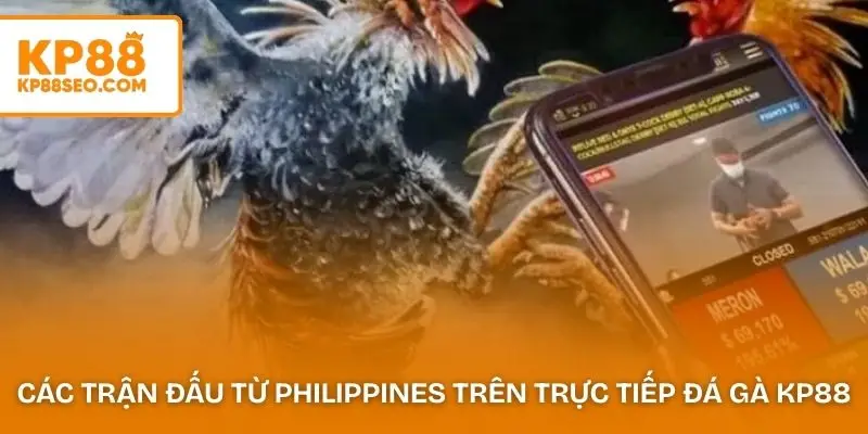 Các trận đấu từ Philippines trên trực tiếp đá gà KP88