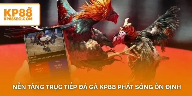  Nền tảng trực tiếp đá gà KP88 phát sóng ổn định