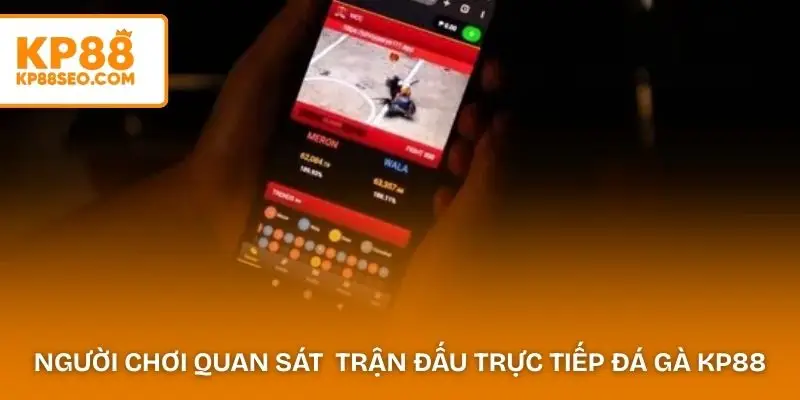 Người chơi quan sát nhiều trận đấu trên trực tiếp đá gà KP88