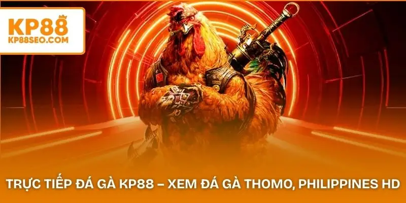 Trực Tiếp Đá Gà KP88 – Xem Đá Gà Thomo, Philippines HD