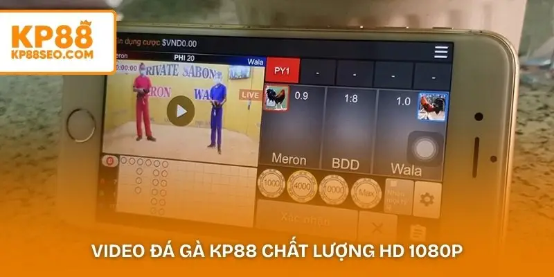 Video đá gà KP88 chất lượng HD 1080p